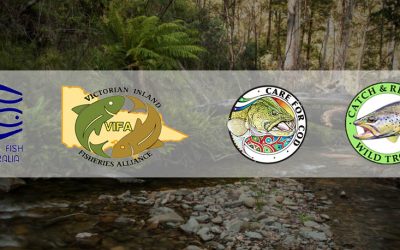 Ovens River Challenge – Fishing & Social Event