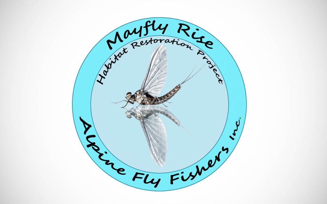 The Mayfly Rise Project