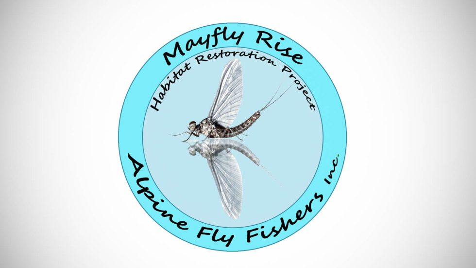 The Mayfly Rise Project Australian Trout Foundation