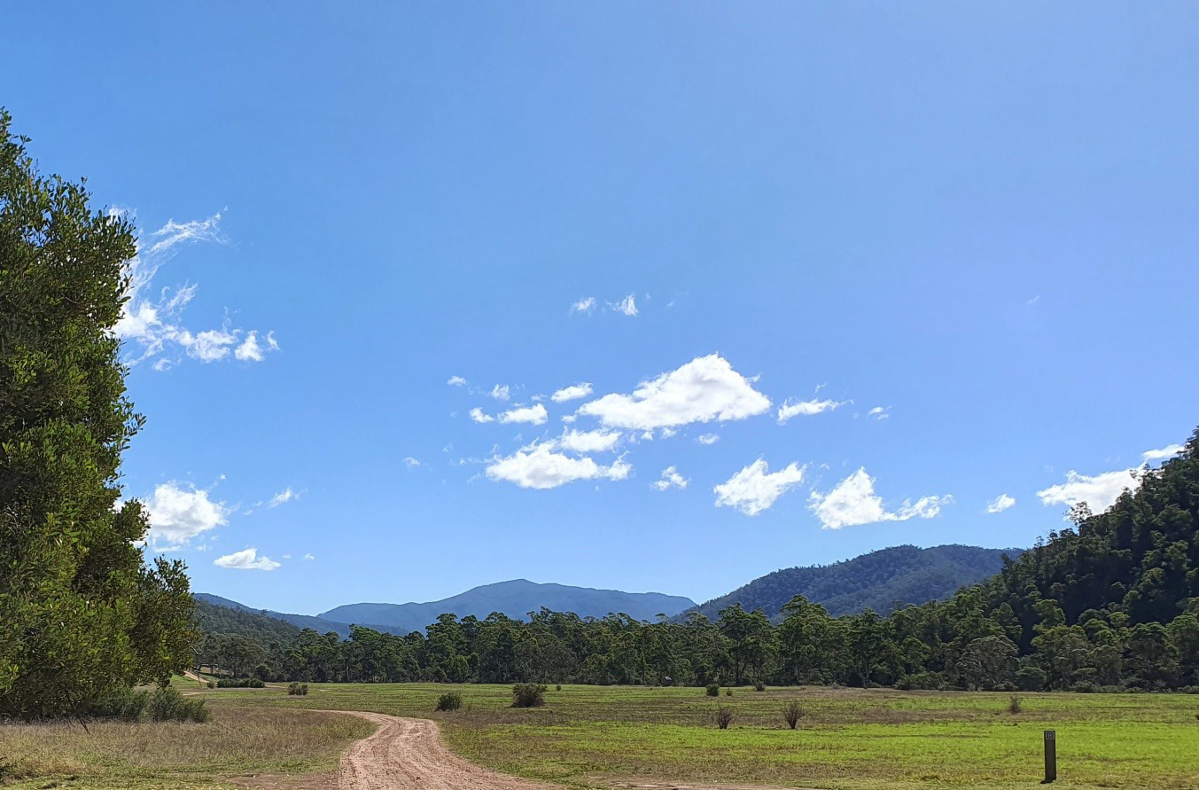 trees-for-trout-planting-on-the-upper-wonnangatta-river-april-27-29