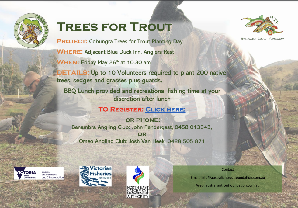 Cobungra River Trees for Trout Australian Trout Foundation