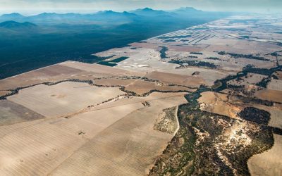 Habitat Restoration – Ovens River