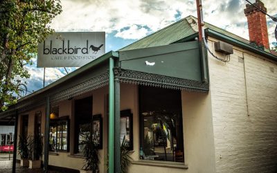Blackbird Cafe
