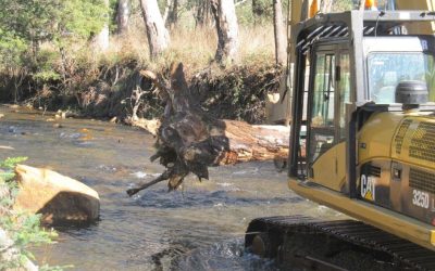 Frosty Corner Ovens River Restoration